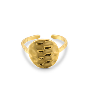 Ringen van Stainless steel Roestvrij staal (RVS) Gold