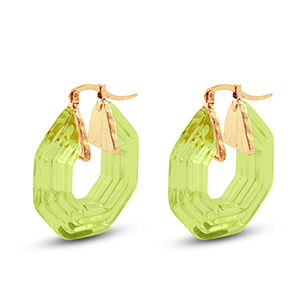 Musthave resin oorbellen hexagon Gold-transparent green