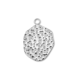 Bedels van Stainless steel Roestvrijstaal (RVS) round Silver