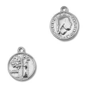 Bedels van Stainless steel Roestvrijstaal (RVS) coin Silver