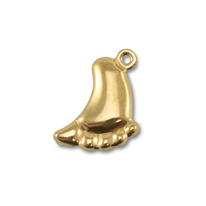 Bedels van Stainless steel Roestvrijstaal (RVS) feet Gold
