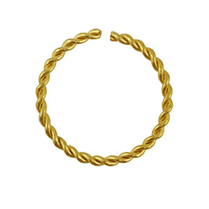 Benodigdheden van Stainless steel Roestvrij staal (RVS) buigring  Gold