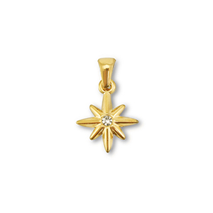Hangers van Stainless steel Roestvrij staal (RVS) star Gold