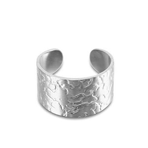 Ringen van Stainless steel Roestvrij staal (RVS) Silver