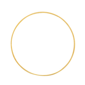 Metaal onderdelen DQ dichte ring 25mm Goud (nikkelvrij)