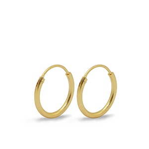 Metaal onderdelen DQ oorbellen creolen 15mm Goud (nikkelvrij)