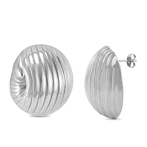 Oorbellen / oorstekers van Stainless steel Roestvrij staal (RVS) Silver
