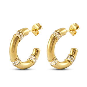 Oorbellen / oorstekers van Stainless steel Roestvrij staal (RVS) Gold