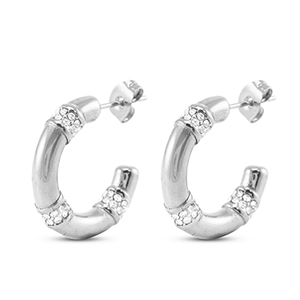 Oorbellen / oorstekers van Stainless steel Roestvrij staal (RVS) Silver