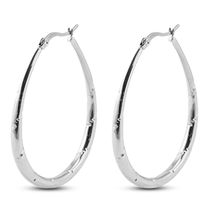 Oorbellen van Stainless steel Roestvrij staal (RVS) creolen oval Silver