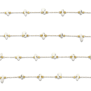 Benodigdheden van Stainless steel Roestvrij staal (RVS) jasseron howliet irregular Gold-white
