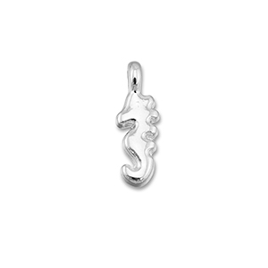 Metaal bedels DQ seahorse Antiek zilver (nikkelvrij)