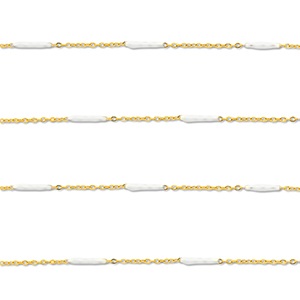 Benodigdheden van Stainless steel Roestvrij staal (RVS) jasseron with rod Gold-white