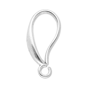 Benodigdheden van Stainless steel Roestvrij staal (RVS) oorbellen / oorhanger Silver