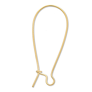 Benodigdheden van Stainless steel Roestvrij staal (RVS) sluitbare oorhanger Gold