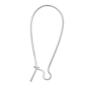 Benodigdheden van Stainless steel Roestvrij staal (RVS) sluitbare oorhanger Silver