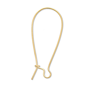 Benodigdheden van Stainless steel Roestvrij staal (RVS) sluitbare oorhanger Gold