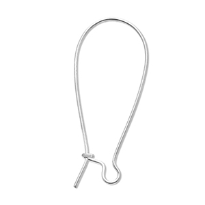 Benodigdheden van Stainless steel Roestvrij staal (RVS) sluitbare oorhanger Silver