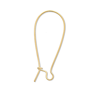 Benodigdheden van Stainless steel Roestvrij staal (RVS) sluitbare oorhanger Gold