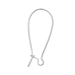 Benodigdheden van Stainless steel Roestvrij staal (RVS) sluitbare oorhanger Silver