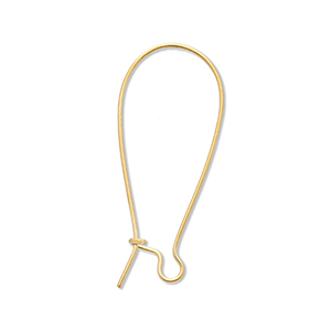 Benodigdheden van Stainless steel Roestvrij staal (RVS) sluitbare oorhanger Gold