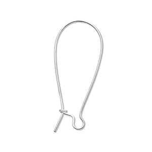 Benodigdheden van Stainless steel Roestvrij staal (RVS) sluitbare oorhanger Silver