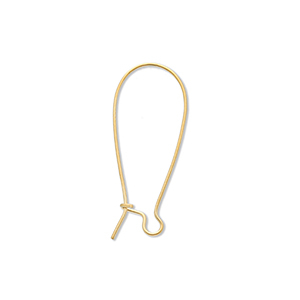 Benodigdheden van Stainless steel Roestvrij staal (RVS) sluitbare oorhanger Gold