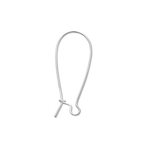 Benodigdheden van Stainless steel Roestvrij staal (RVS) sluitbare oorhanger Silver