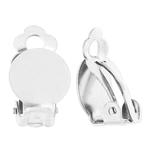 Benodigdheden van Stainless steel Roestvrij staal (RVS) clipoorbellen Silver