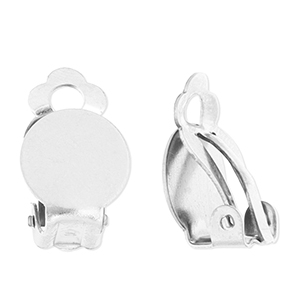 Benodigdheden van Stainless steel Roestvrij staal (RVS) clipoorbellen Silver