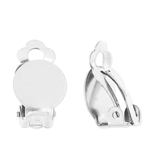 Benodigdheden van Stainless steel Roestvrij staal (RVS) clipoorbellen Silver