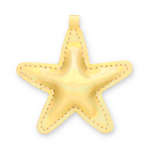 Statement hangers star Gold holographic