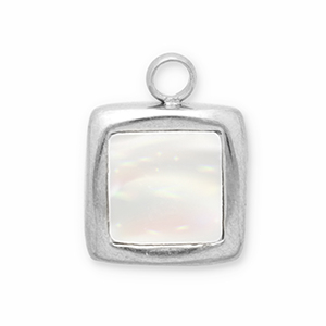 Bedels van Stainless steel Roestvrij staal (RVS) schelp square Silver-white