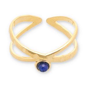 Ringen van Stainless steel Roestvrij staal (RVS) met natuursteen Gold-dark blue
