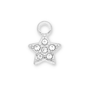 Bedels van Stainless steel Roestvrij staal (RVS) star with strass Silver-transparent