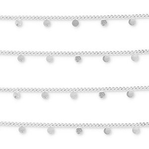 Benodigdheden van Stainless steel Roestvrij staal (RVS) jasseron with coins Silver