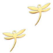Bedels van Stainless steel Roestvrij staal (RVS) libelle Goud