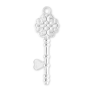 Bedels van Stainless steel Roestvrij staal (RVS) key Silver
