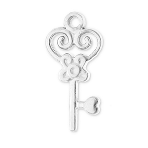 Bedels van Stainless steel Roestvrij staal (RVS) key Silver