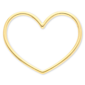 Benodigdheden van Stainless steel Roestvrij staal (RVS) tussenstuk heart Gold