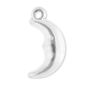 Bedels van Stainless steel Roestvrij staal (RVS) moon Silver