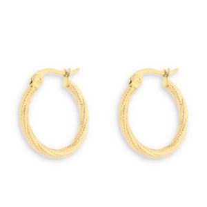 Oorbellen van Stainless steel Roestvrij staal (RVS) creolen Gold