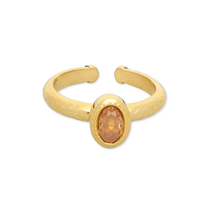 Ringen van Stainless steel Roestvrij staal (RVS) Gold-light orange