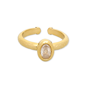 Ringen van Stainless steel Roestvrij staal (RVS) Gold-transparent