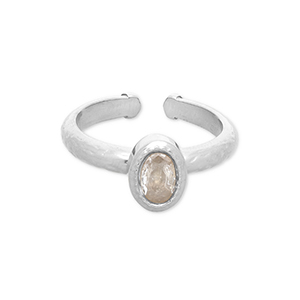 Ringen van Stainless steel Roestvrij staal (RVS) Silver-transparent