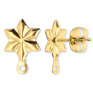 Benodigdheden van Stainless steel Roestvrij staal (RVS) oorbellen / oorsteker star with loop Gold