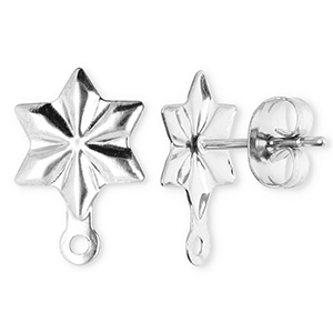 Benodigdheden van Stainless steel Roestvrij staal (RVS) oorbellen / oorsteker star with loop Silver