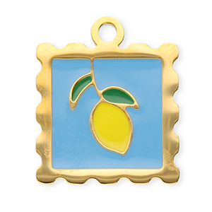 Bedels van Stainless steel Roestvrij staal (RVS) square with lemon Gold-blue-yellow-dark green