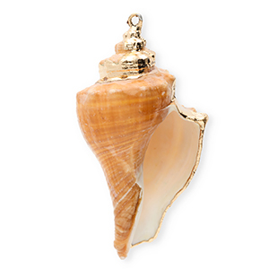 Schelp hanger special whelk Copper brown-gold