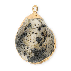 Schelp hanger special Grey-gold